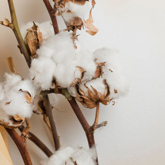 Organic Cotton Care Instructions