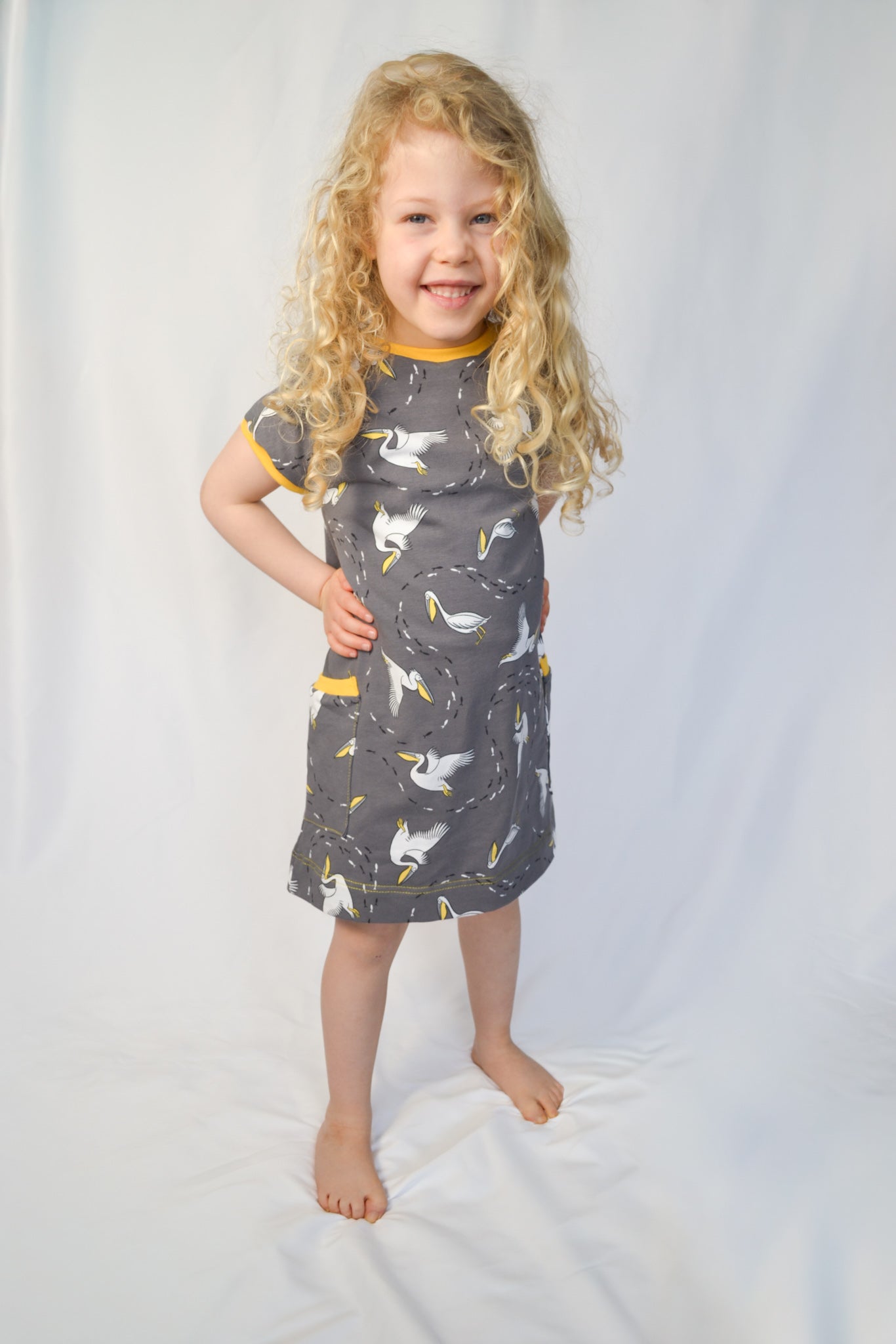 Organic Jersey Pelican A-line dress