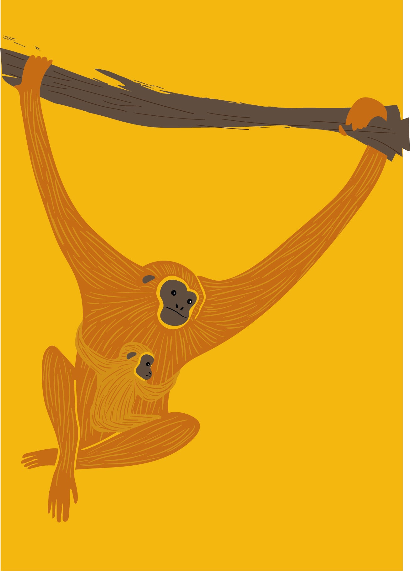 Mother gibbon with clinging baby gibbon on yellow background